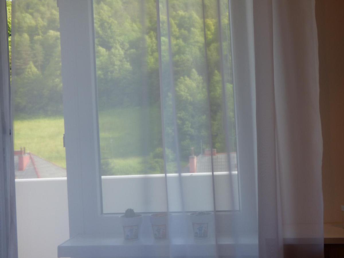 Apartman Dolinky Vyhne Buitenkant foto