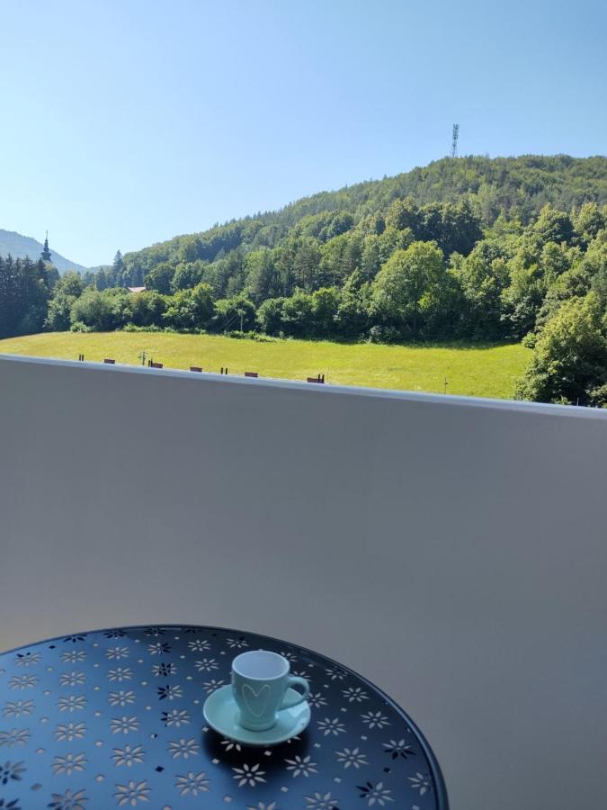 Apartman Dolinky Vyhne Buitenkant foto